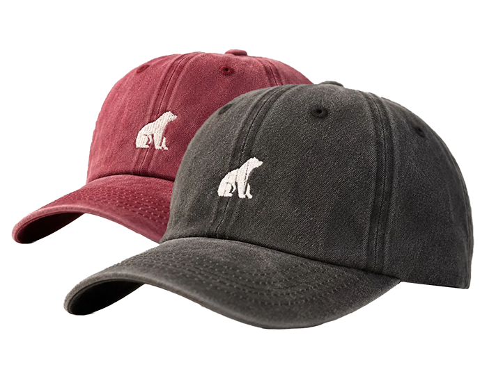 OFFICIAL HEADWEAR OF PEOPLE WHO BETRAY THEIR FRIENDS.